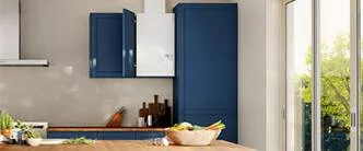 Murales gaz à condensation