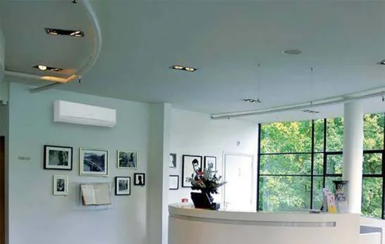 Muraux-DC-Inverter-LFC-LMT-Ambiance-Mural - site conso.jpg